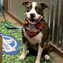 Thumbnail photo of Davy #1