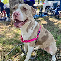 Thumbnail photo of Bikini #3