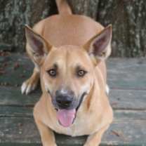 Thumbnail photo of Chex 25 #2