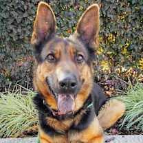 Thumbnail photo of Dierdre #4