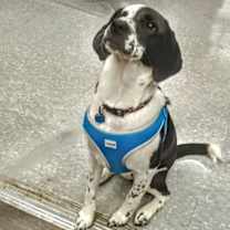 Thumbnail photo of Tani ❤️ #2