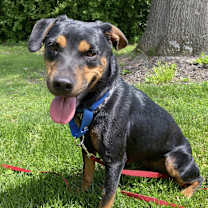 Thumbnail photo of Greta #1