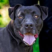 Thumbnail photo of London #1