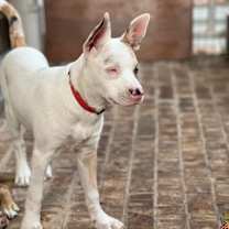 Thumbnail photo of Toph Cheeks #2