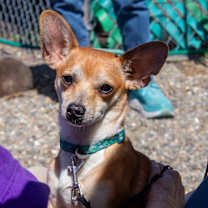 Thumbnail photo of Radar #1