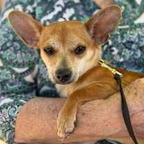 Thumbnail photo of Radar #2