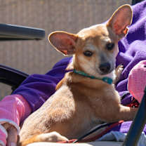 Thumbnail photo of Radar #3