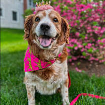 Thumbnail photo of Thelma #2