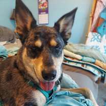 Thumbnail photo of Luna #1