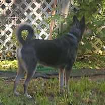 Thumbnail photo of Luna #2