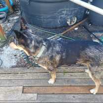 Thumbnail photo of Luna #3