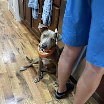 Thumbnail photo of Wrangler #2