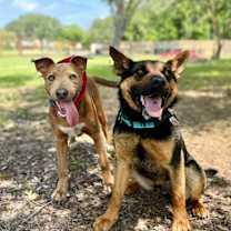 Thumbnail photo of Wrangler #3