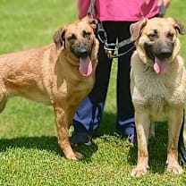 Thumbnail photo of Delilah #1