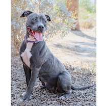 Thumbnail photo of Ginny #2