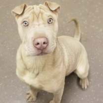 Thumbnail photo of Ghostly Energy #1