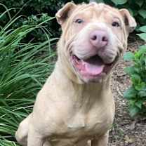 Thumbnail photo of Ghostly Energy #2