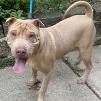 Thumbnail photo of Ghostly Energy #3