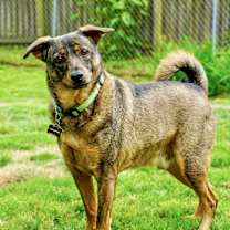 Thumbnail photo of Bentley #2