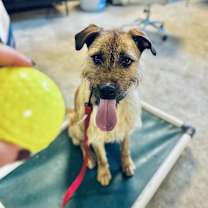 Thumbnail photo of Joe #2