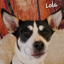 Thumbnail photo of Lola JuM #2