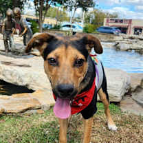 Thumbnail photo of Brother JuM #3