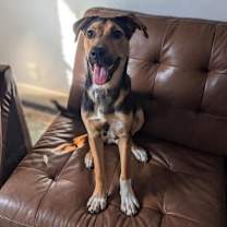 Thumbnail photo of Brother JuM #2