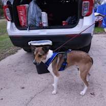 Thumbnail photo of Jitterbug #2