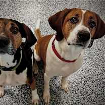 Thumbnail photo of PARKER & PORTER #1