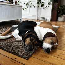 Thumbnail photo of PARKER & PORTER #4