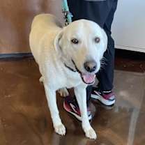 Thumbnail photo of June Carter Cash #1