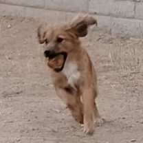 Thumbnail photo of Roger #2