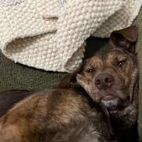 Thumbnail photo of Anna #4