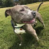 Thumbnail photo of Valentine #1