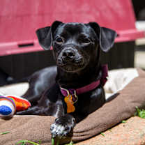 Thumbnail photo of Cola #3