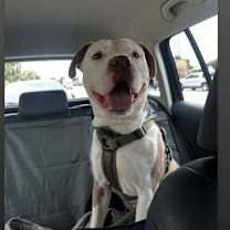 Thumbnail photo of Mr. Lahey #1