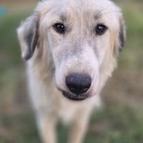 Thumbnail photo of Chance #1