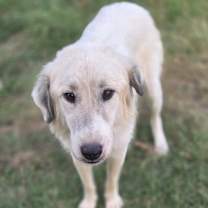 Thumbnail photo of Chance #2