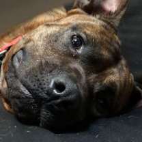 Thumbnail photo of Seven #3