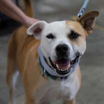 Thumbnail photo of Sammy #1