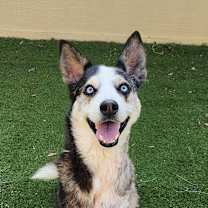 Thumbnail photo of Haku JuM* #1