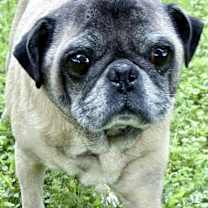 Thumbnail photo of Mister #1