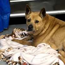 Thumbnail photo of Eep *bonded with Ugga* #4