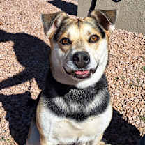 Thumbnail photo of Kato #3