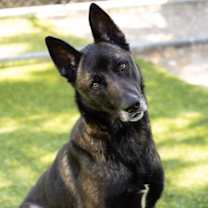 Thumbnail photo of *CLARK #1