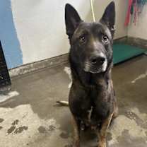 Thumbnail photo of *CLARK #2