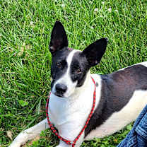 Thumbnail photo of Clark #1