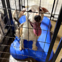 Thumbnail photo of Wentz #2