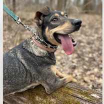 Thumbnail photo of Breezy #3