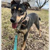 Thumbnail photo of Breezy #4